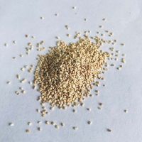玉米芯磨料18#
